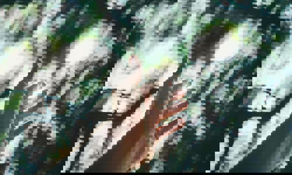 Få styr på bekymringerne i en urolig verden