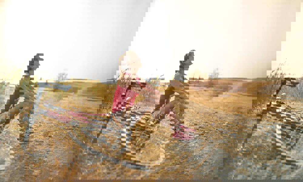 Forstå hjernen og nervesystemet – og forebyg usund stress