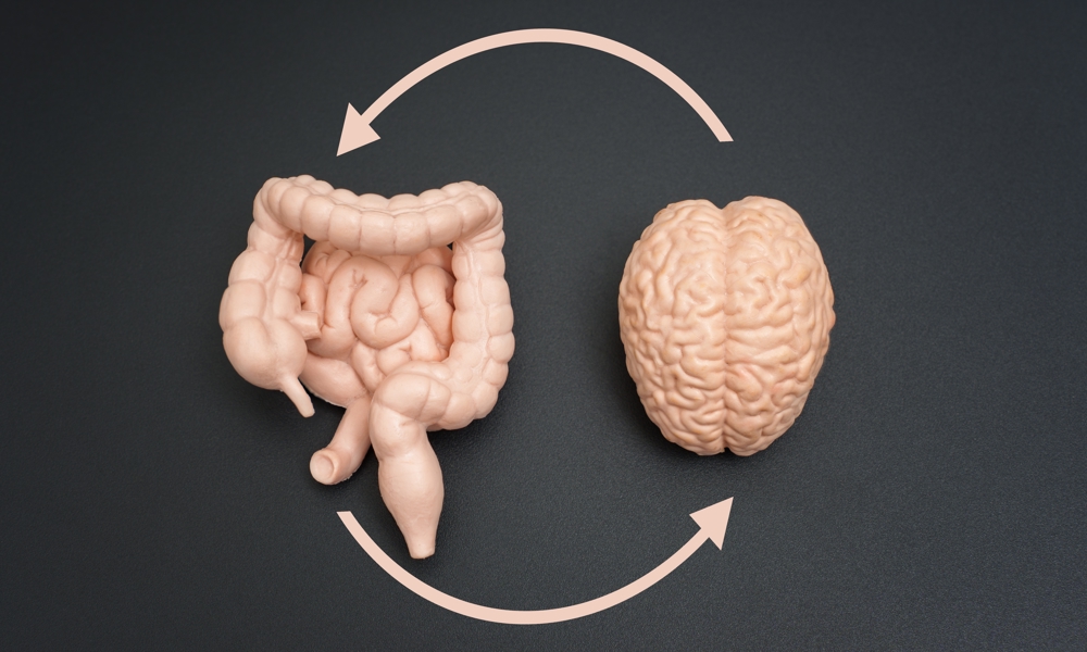Tarmen og hjernen – en skjult forbindelse med stor betydning