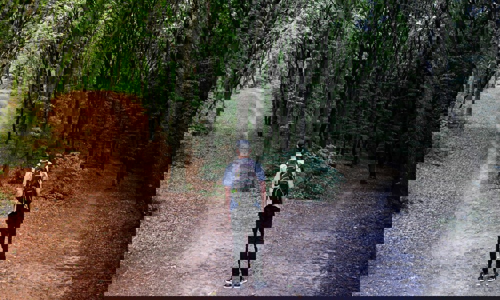 Hvad vælger du? Hvordan teenagehjernen tager beslutninger